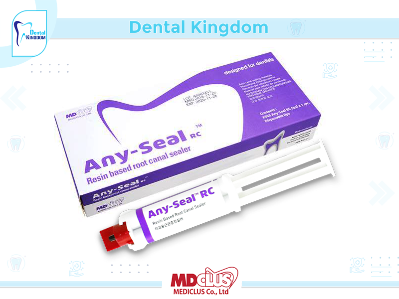 Any-Seal Resin based root canal sealer - (10g) * 1ea LOT AS26T632 EX 2024-06