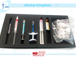 [290038] ENDO SOLUTION KIT LOT 2022004121 EX 18-010-2025